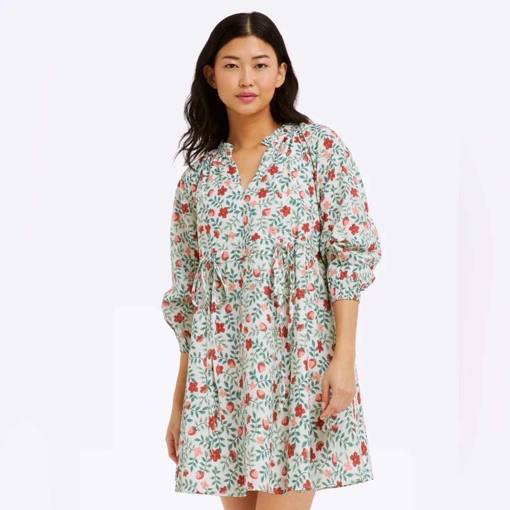 NWT! Draper James Kellie Babydoll Dress in Strawberry Field